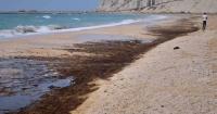 Ship attacked during Strait of Hormuz transit and other news from the Middle East