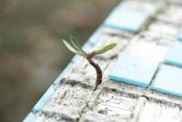 Green growth claims are overstated – this study shows three reasons why