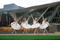 Swan Lake Dancers Touch Down In Dublin With Extra Performance Added