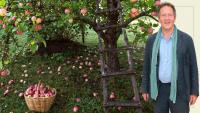 Monty Don reassures gardeners not to panic about fruit trees dropping 'left, right and centre' – it's actually a positive sign