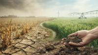 Kazakhstan Opens 5.2 Million Hectares for Carbon Projects. Will Investors Follow?