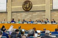 Nairobi Biodiversity Talks Set the Stage for Key COP17 Decisions
