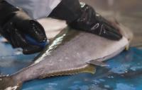 Kingfish Company posts positive EBITDA in H1 2026 in first for company