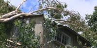 ‘Heartbreaking’: Maui businesses ruined by Lala’s forceful winds