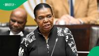 Dina Pule appointed Social Development Minister despite 2013 Parliament scandal