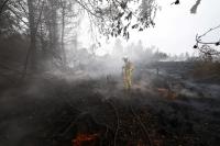 Wildfire crisis deepens across Europe as France launches €12mn aid plan
