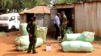 Police seize Sh56 million cannabis, methamphetamine in Busia