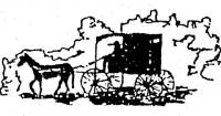 Amish Cook: The Yoders tour Iowa chestnut farms