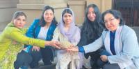 ‘Unless we are all free, we are never free’: Afghan women are looking to South Africa for support