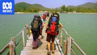 What you need to know about the working holiday visa pause