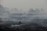 Firefighters push to 'encircle' Belgian wildfire