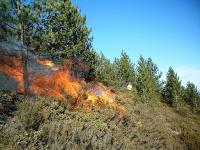 Europe’s wildfires have raised the danger posed by unexploded WWII bombs