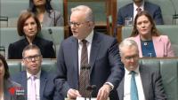 Major parties strike deals over gambling ads, NDIS