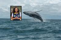 Governor of Earthquake-hit Department Asks Tourists Not to Cancel Whale Watching