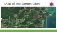 Environmental groups flag drainage canals as a major factor in the fish-kill