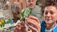 Astronaut Anil Menon turns farmer in space, harvests kale and wasabi mustard