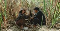 'A Foggy Tale' named Taiwan's Oscars submission