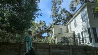 How to get hurricane recovery help in Georgia