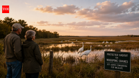 In 1999, a Texas couple bought 828 acres and discovered endangered whooping cranes, then protected 817 acres for the birds