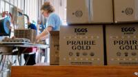 State grant creates win-win for Wisconsin farmers and food pantries