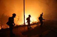 Devastating Greek wildfires stoke fear of faulty power lines