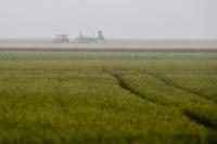 Martinique: Nearly 20 tons of glyphosate used in 2023