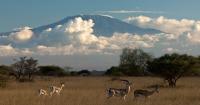 Africa Must Not Just Follow History; It Must Learn To Shape It