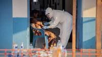 DR Congo Ebola outbreak 'far from under control': WHO