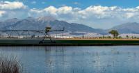 A drought-tolerant grain could help Colorado farmers save water. First, they need customers.
