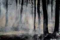 Croatia Probes Coordinated Zadar Fires