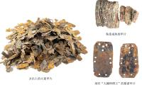 World's earliest tinned iron production remains from 1,700 years ago unearthed in East China