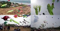 Kite flyers from Singapore, Malaysia, Indonesia and India join the Tamil Nadu Kite festival