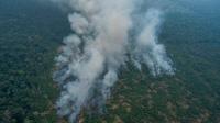 Wales cannot afford to ignore the destruction of tropical forests