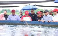 Tilapia Has Potential To Become Main Source Of Protein, Boost Aquaculture Economy