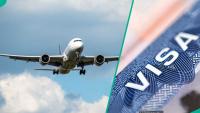 Full list: 5 countries skilled Nigerians can move to with job seeker visas