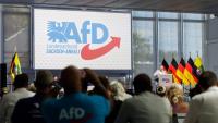 ‘Stopping AfD’: German Left-Wing Celebrities and NGOs Team Up Against Weidel’s Party