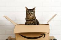 Amazon's Chic Cat Condo: A Stylish and Functional Space for Your Feline Friends