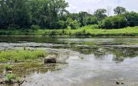 Milwaukee Walks: Estabrook Park