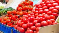 Kazakhstan’s major greenhouse project delivers 2,000 tons of tomatoes