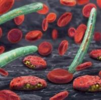 Malaria: Local data could hold the key to cutting deaths, says Nigeria Health Watch