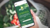 Avocados From Mexico boosts consumer reach with AI-based engine
