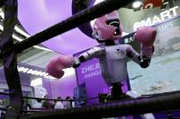 Why Did U.S. Military Research Help China Build a Robot Dog Industry?