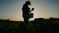 New York farmers face tight deadline to apply for tariff assistance