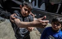 The Rats Terrorizing Everyone in Gaza