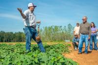 Education: Sweet Potato Field Day showcases farmer-MSU researcher alliance