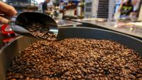 Korea's coffee industry is growing — and so are exports