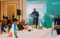 Borders cannot stop disease, so Africa must cooperate