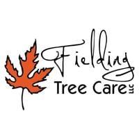 Fielding Tree Care Delivers Professional Tree Service Denver Throughout South Denver Since 2005
