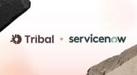 Tribal Partners with ServiceNow to Empower Enterprise Teams to Build and Deploy Apps & Agents