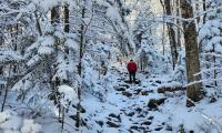 Live Free: Last-Minute Mountaineers